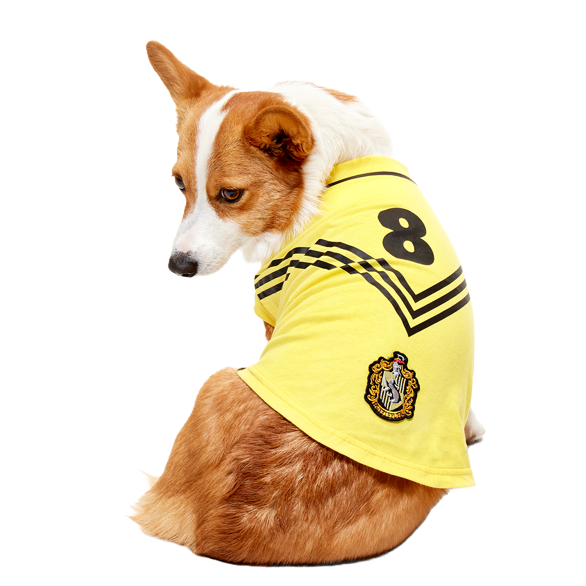 Quidditch™ Jersey#Style_Hufflepuff™