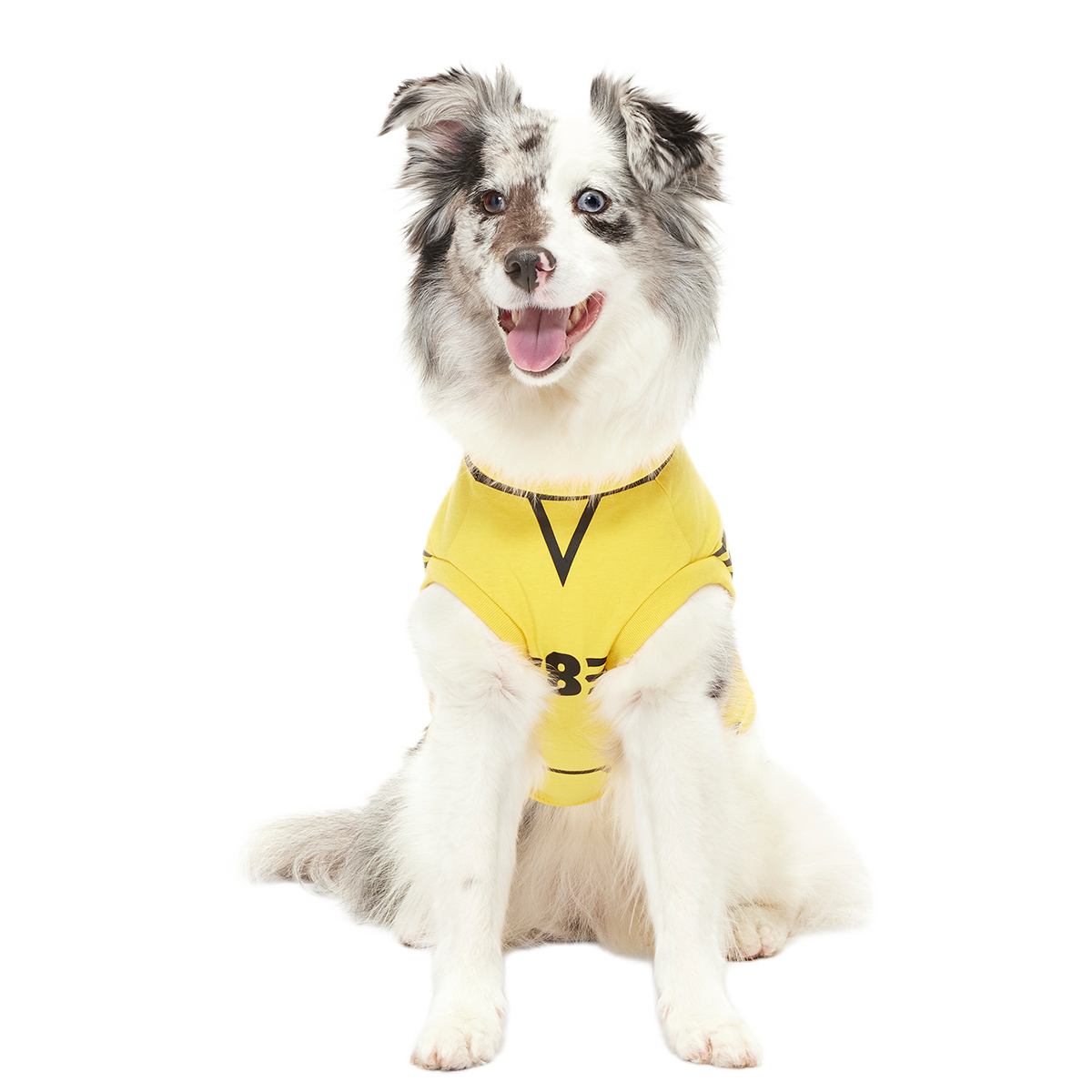 Quidditch™ Jersey#Style_Hufflepuff™