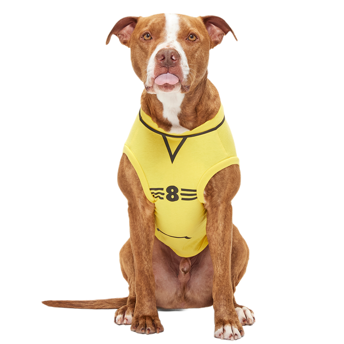 Quidditch™ Jersey#Style_Hufflepuff™