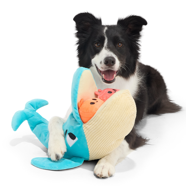 Hungry Hungry Humpback Plush Extra-Large + Multi-Part + Enrichment