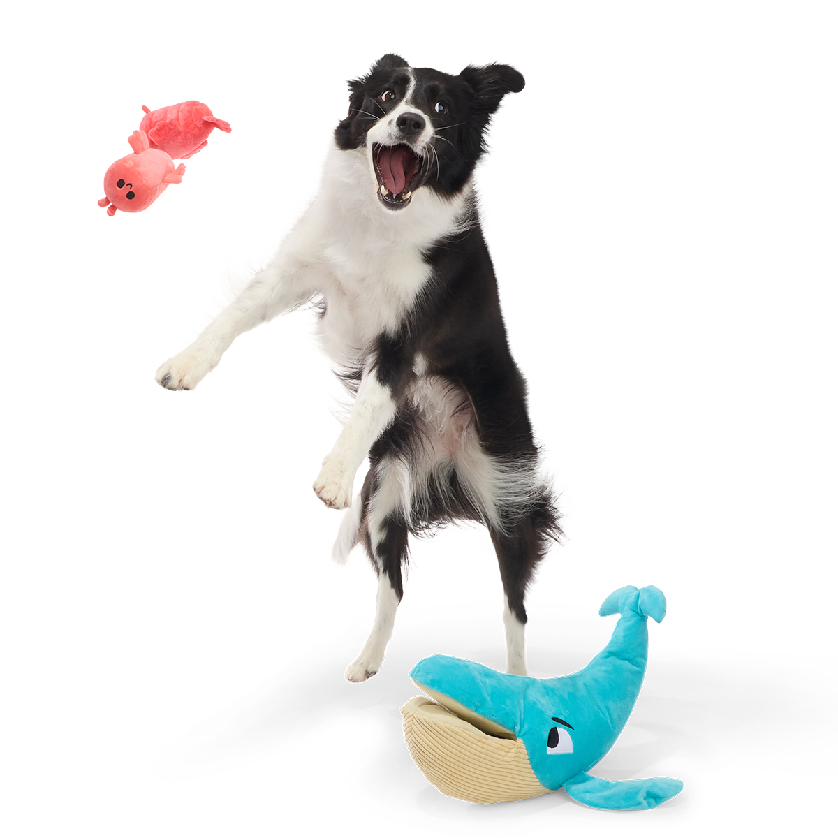 Hungry Hungry Humpback Plush Extra-Large + Multi-Part + Enrichment Dog Toy