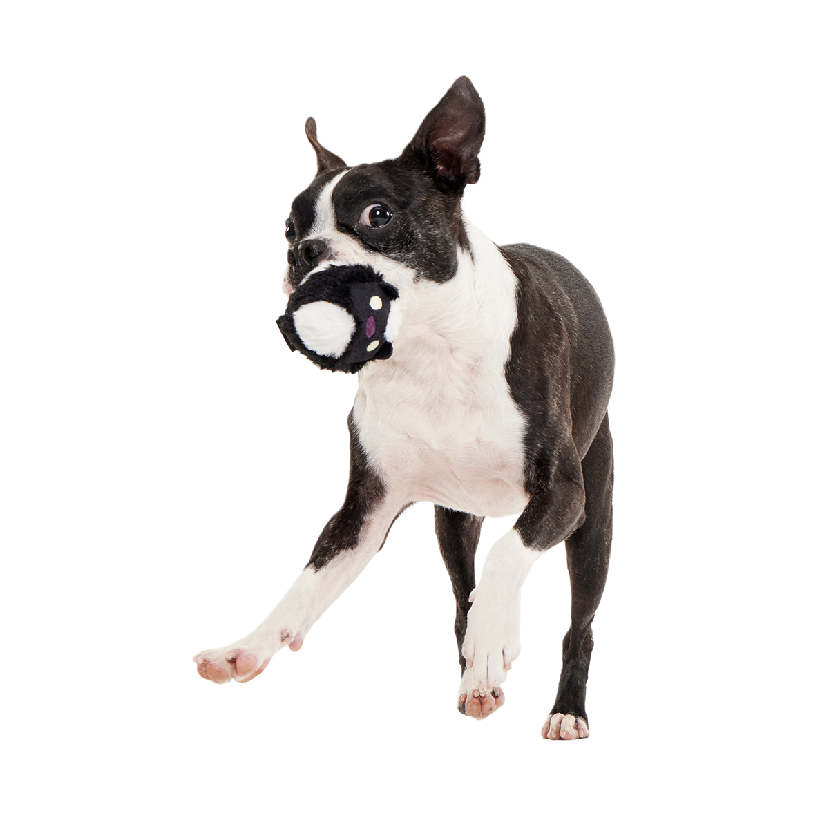 Hunky Skunky Super Chewer Durable 2-in-1 + Fetch Dog Toy