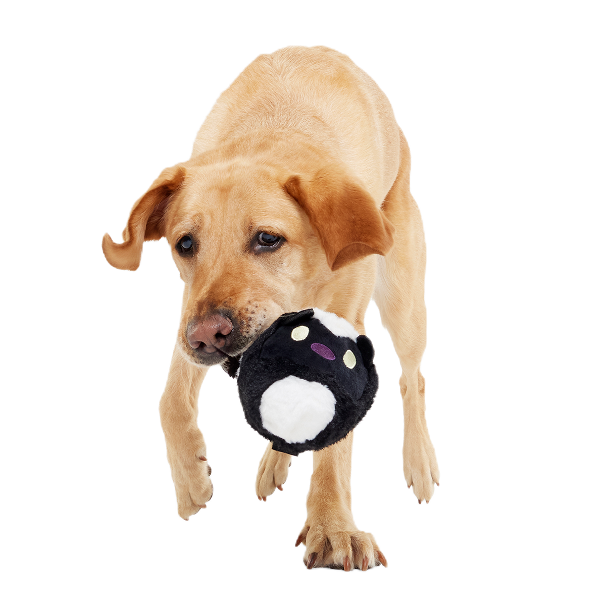 Hunky Skunky Super Chewer Durable 2-in-1 + Fetch Dog Toy