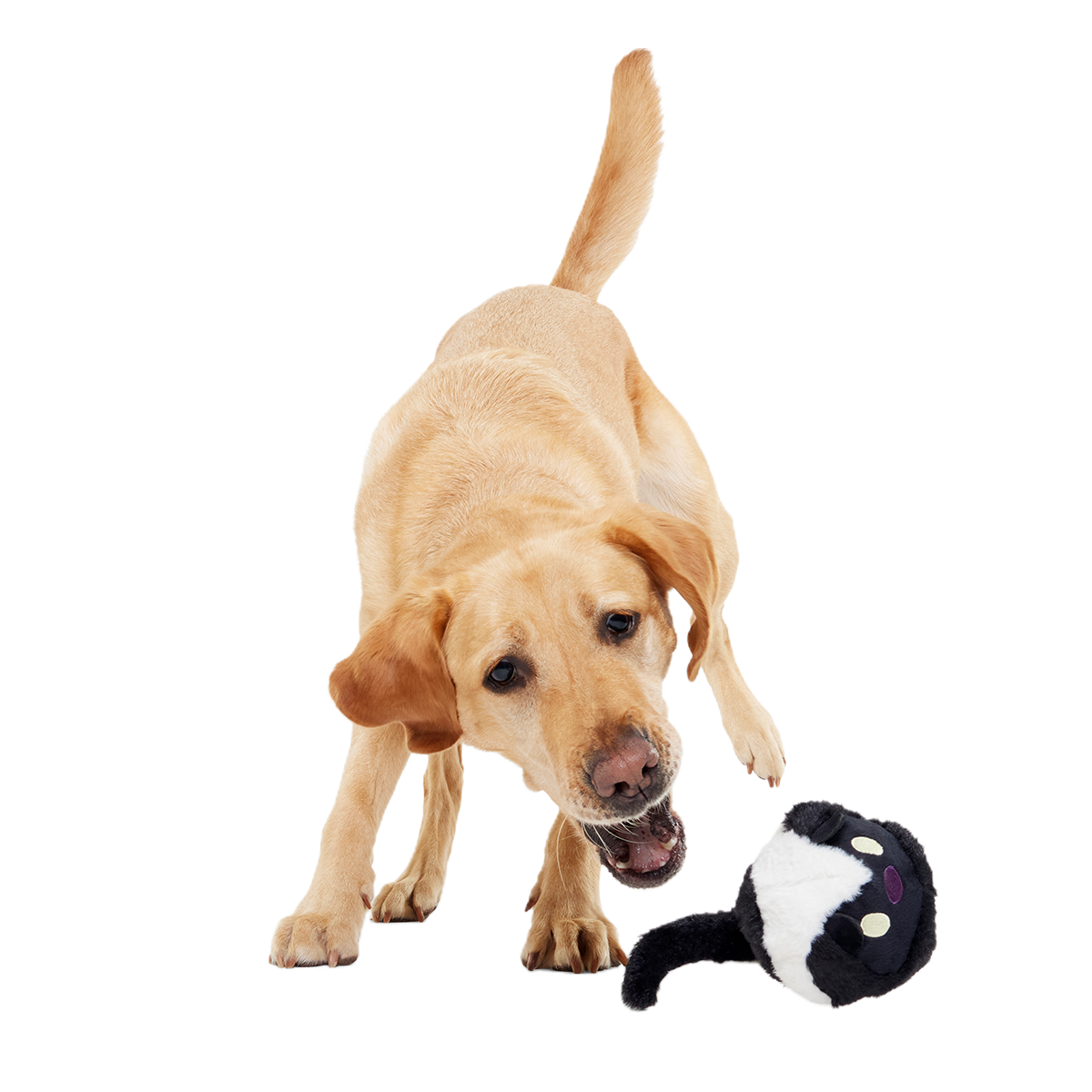 Hunky Skunky Super Chewer Durable 2-in-1 + Fetch Dog Toy