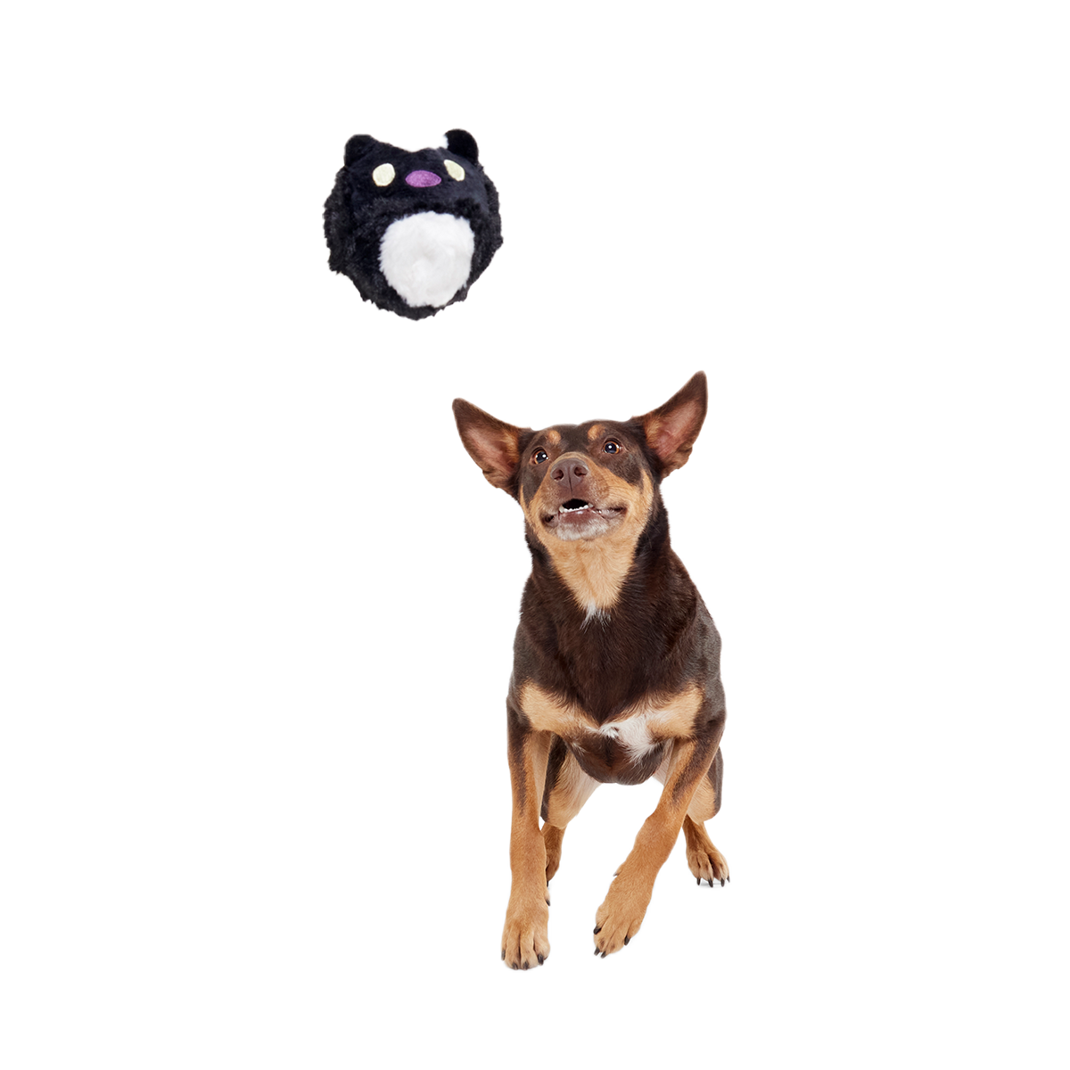 Hunky Skunky Super Chewer Durable 2-in-1 + Fetch Dog Toy