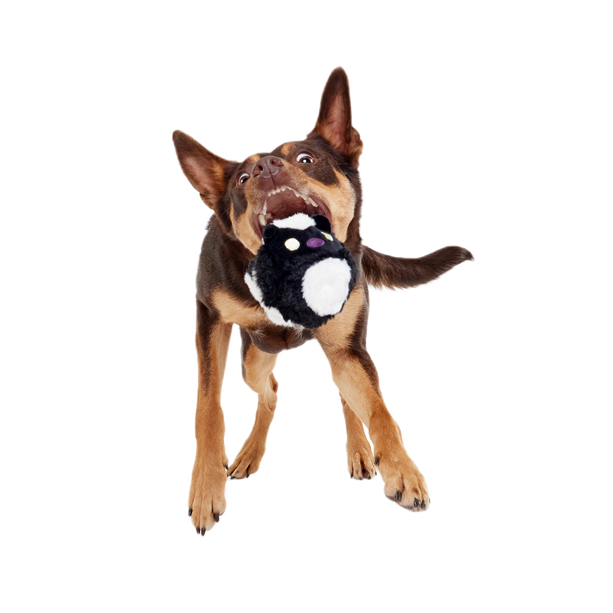 Hunky Skunky Super Chewer Durable 2-in-1 + Fetch Dog Toy