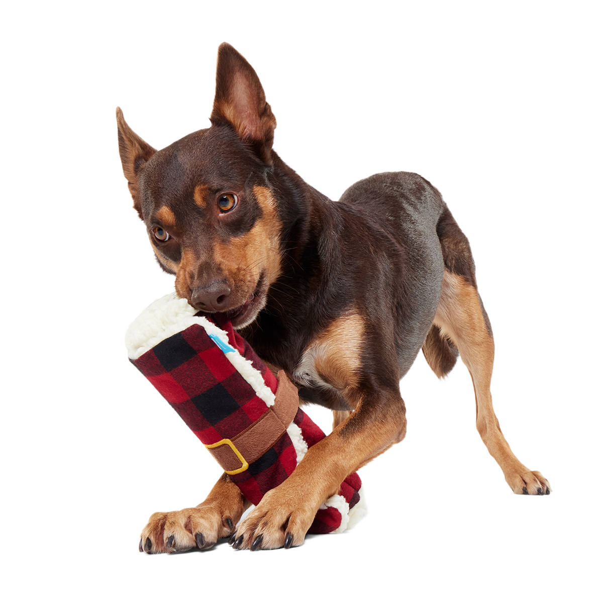 Hygge Snuggler Blanket Plush Enrichment Dog Toy