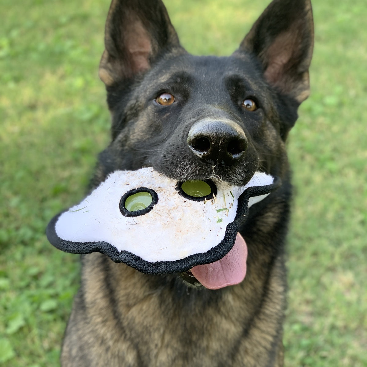 Scary Gary Super Chewer Durable 2-in-1 Dog Toy