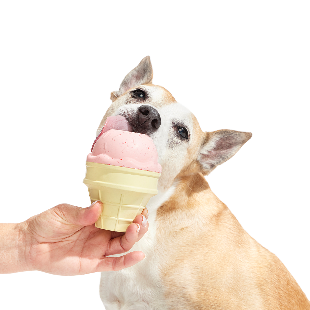 I Squeak Cone Super Chewer Durable Gnaw Dog Toy
