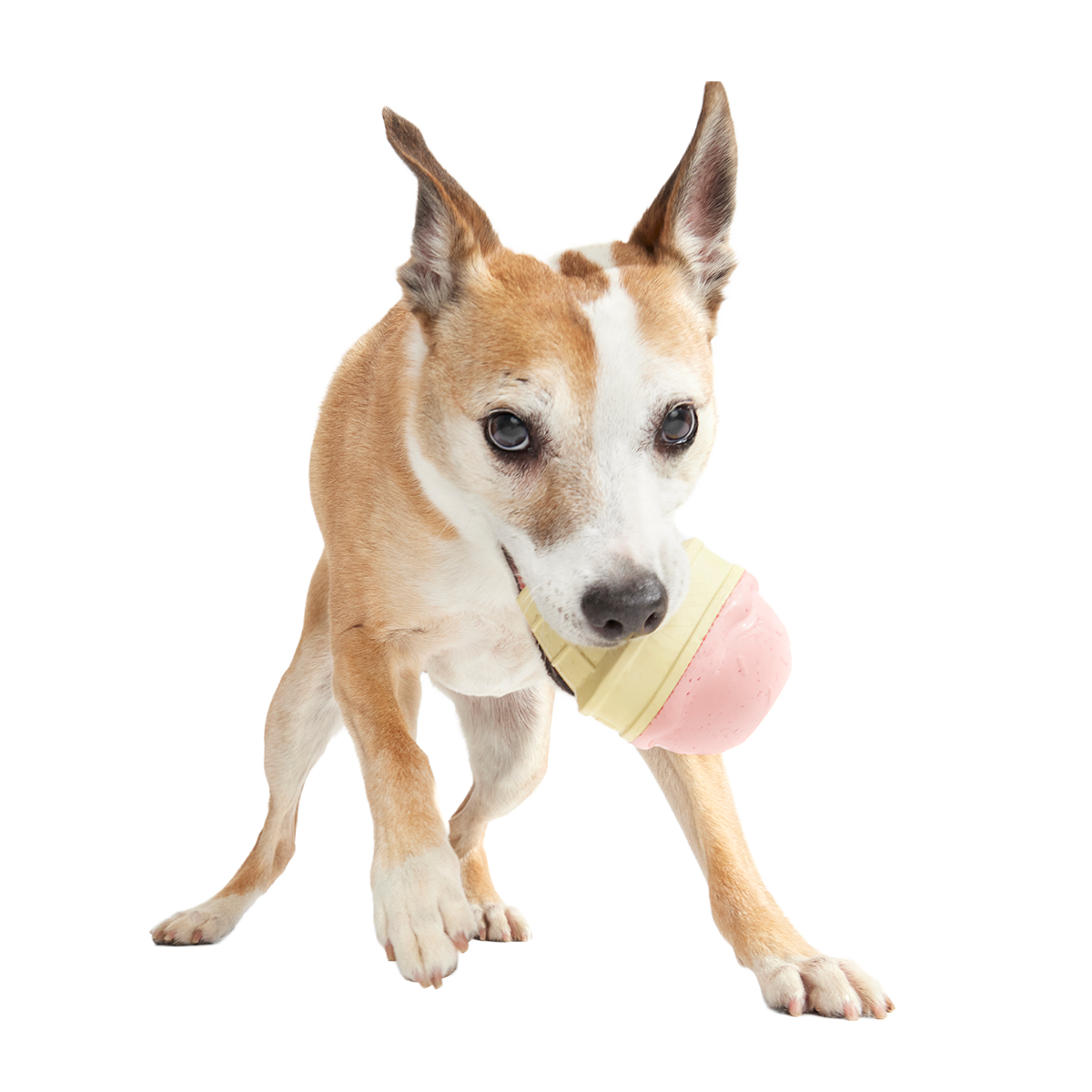 I Squeak Cone Super Chewer Durable Gnaw Dog Toy