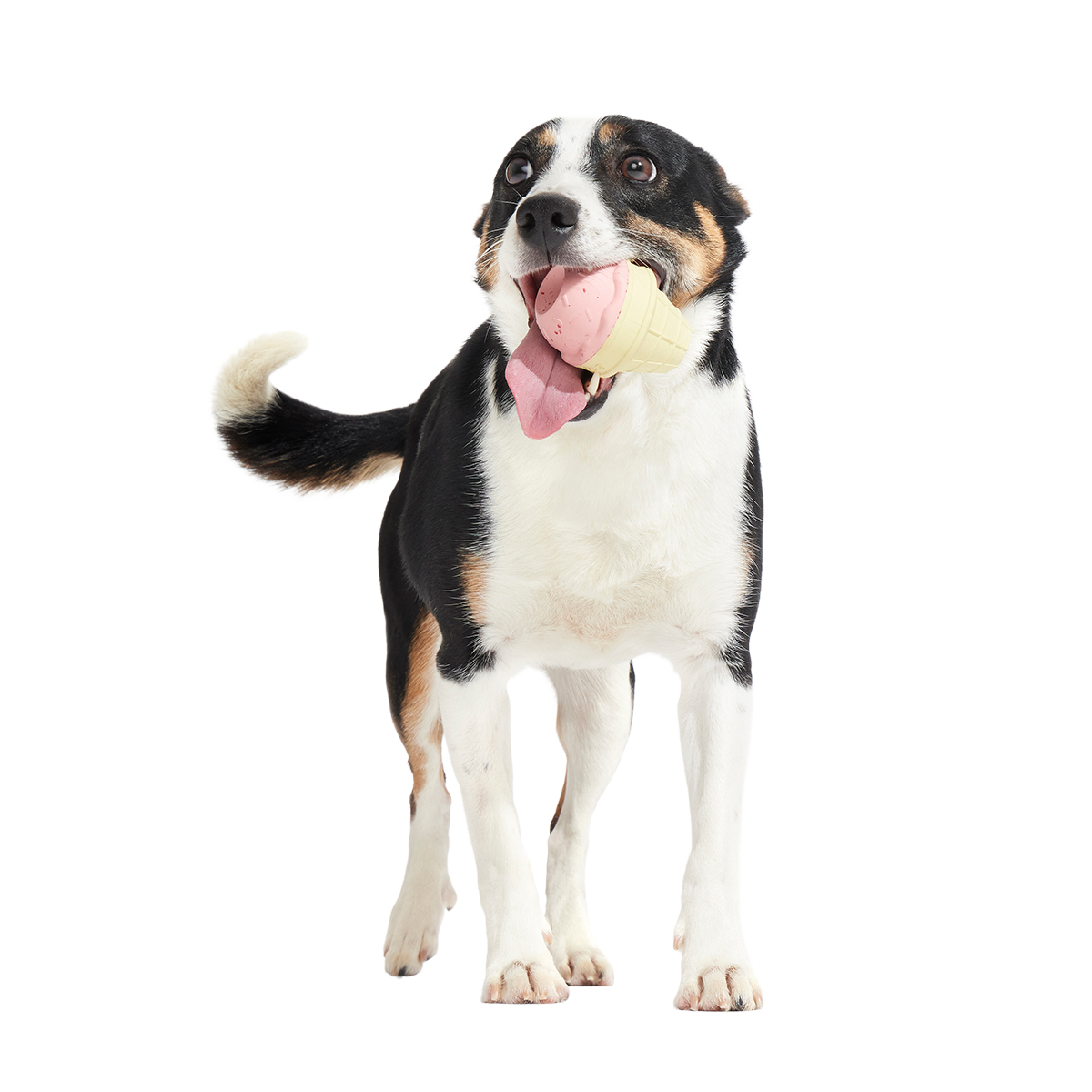 I Squeak Cone Super Chewer Durable Gnaw Dog Toy