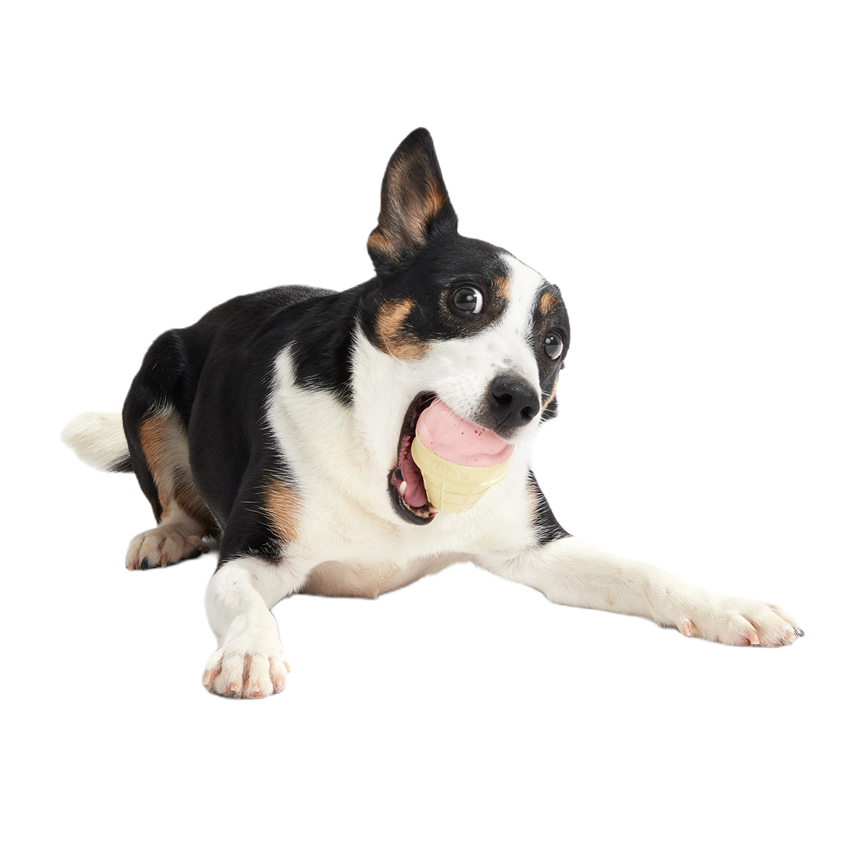 I Squeak Cone Super Chewer Durable Gnaw Dog Toy