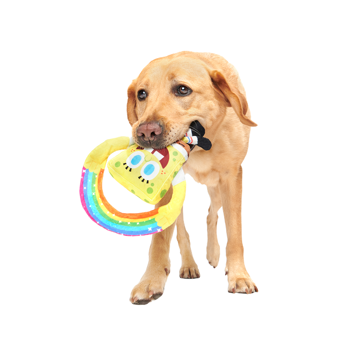Imaginaaation SpongeBob Plush Tug Dog Toy