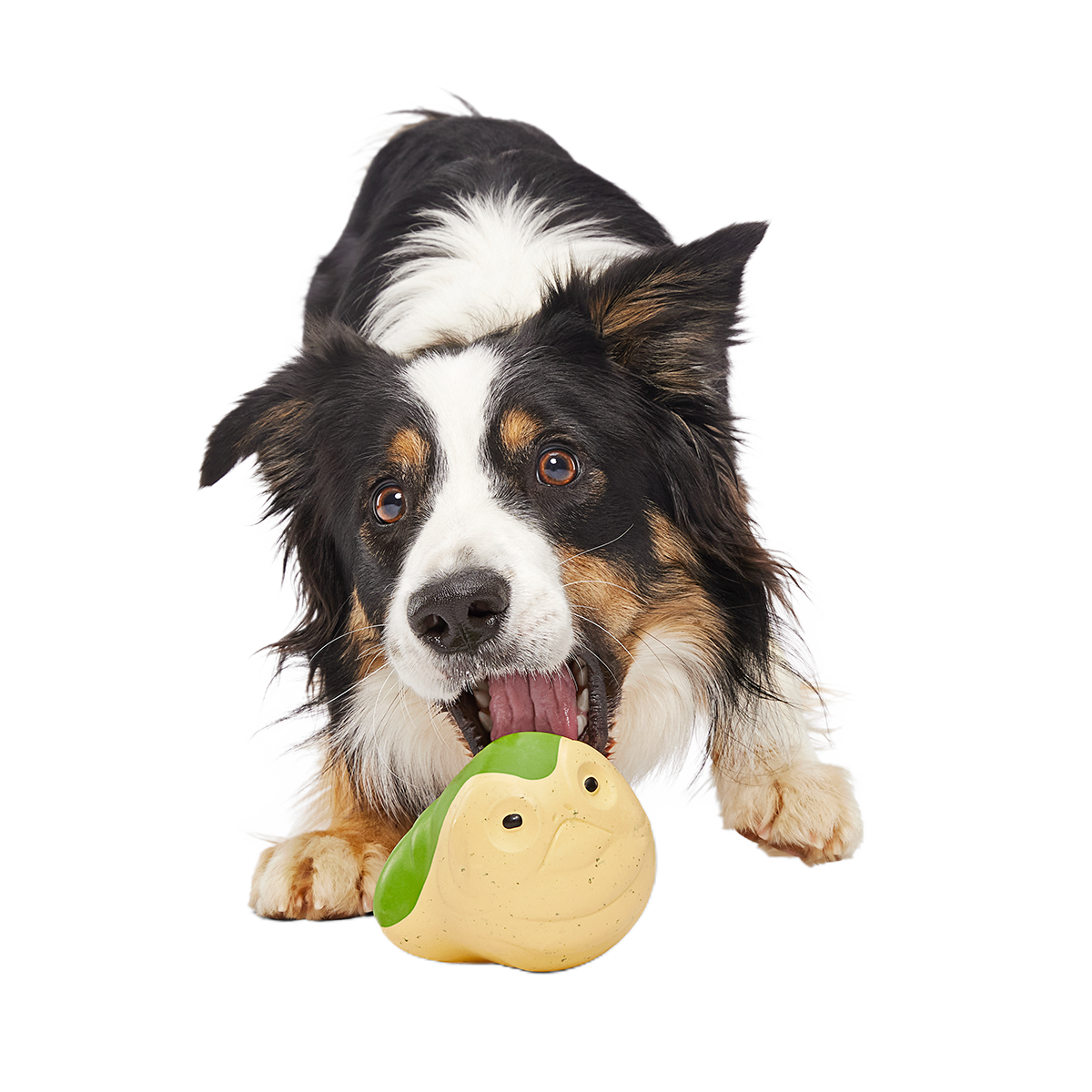 Jabba the Hut ™ Slobber Lobber Super Chewer Durable Fetch Dog Toy