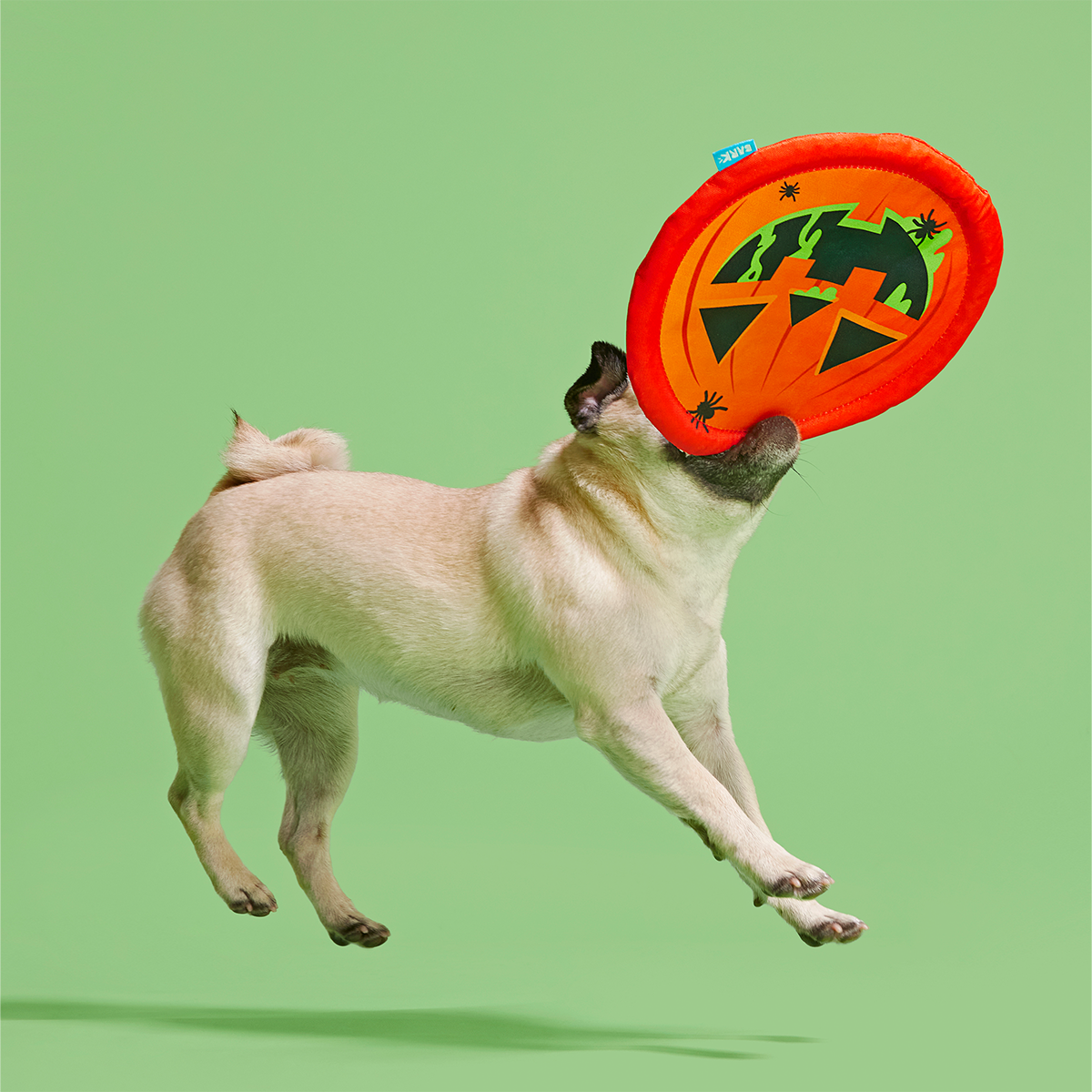 Jack-Throw-Lantern Plush Fetch Dog Toy