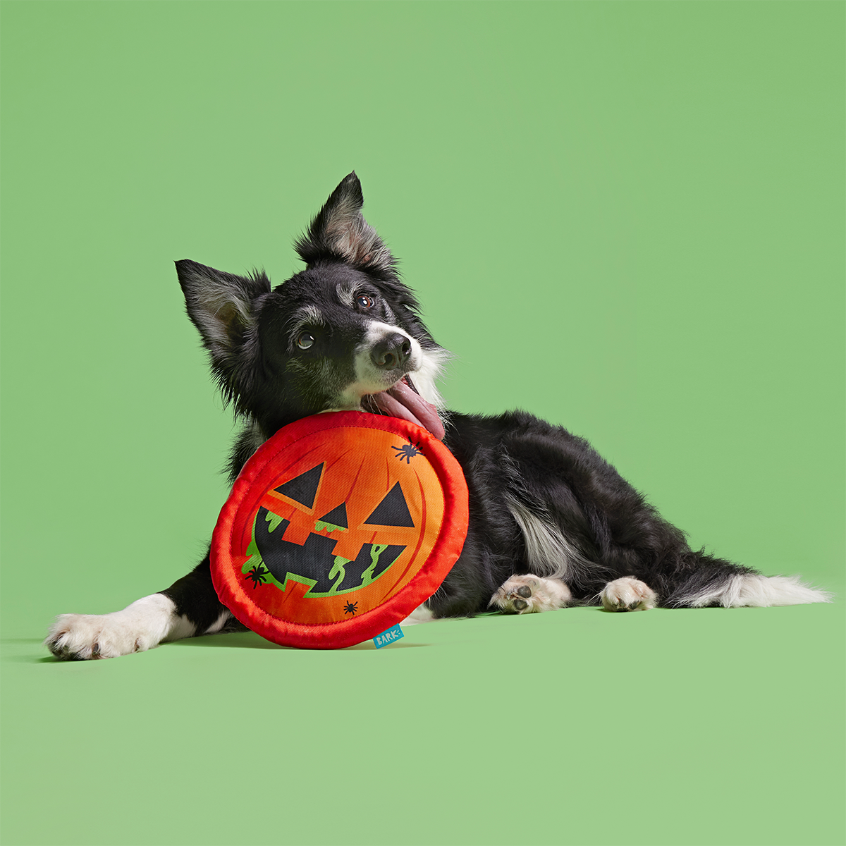 Jack-Throw-Lantern Plush Fetch Dog Toy