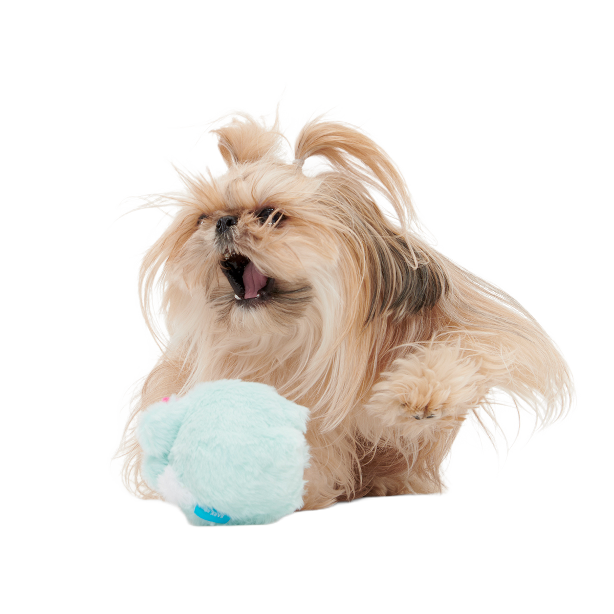 Jack Jackalope Plush Tug Dog Toy