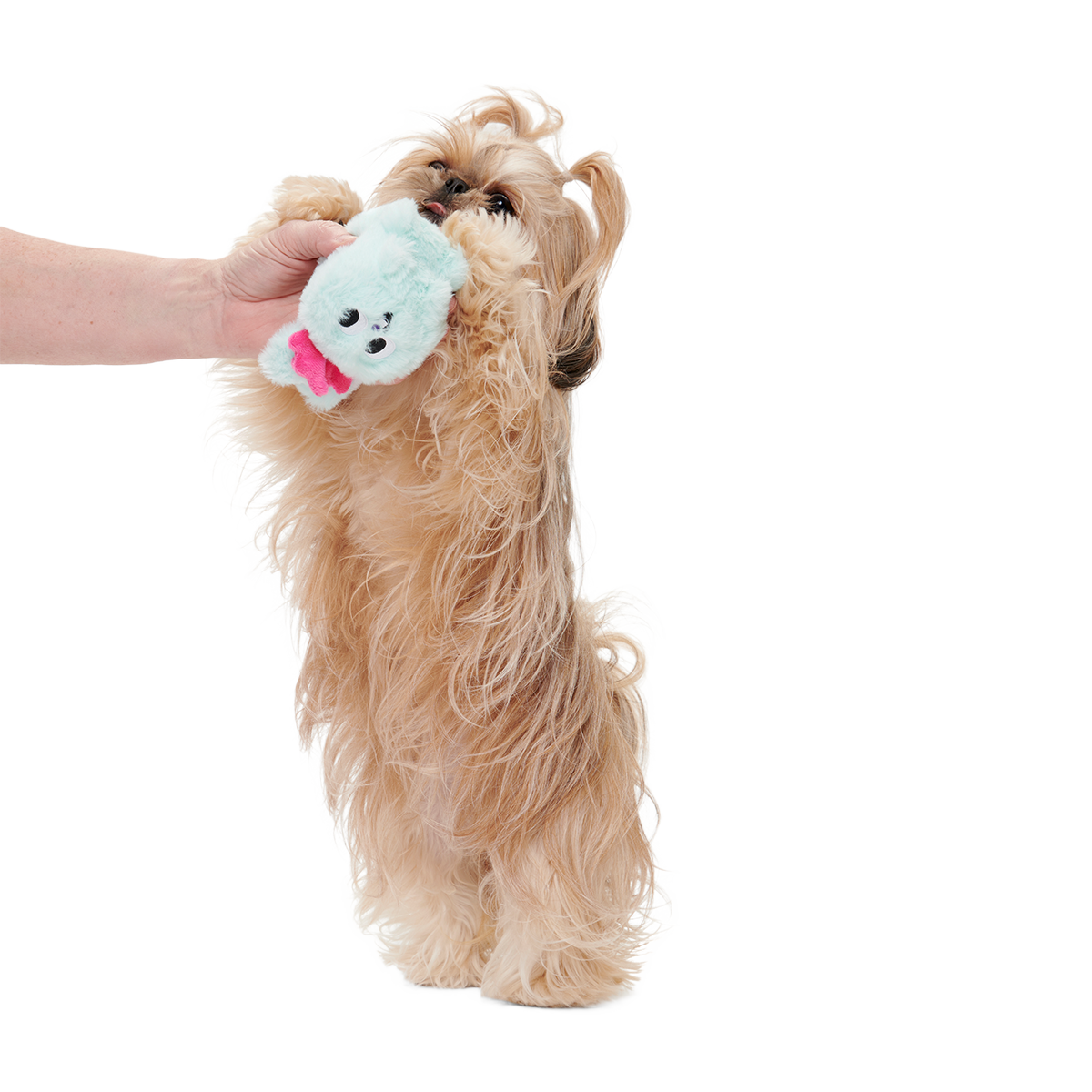 Jack Jackalope Plush Tug Dog Toy