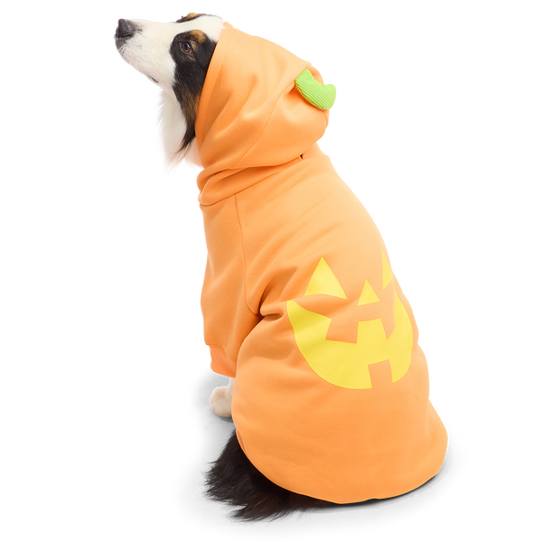 Jack O'Lantern Dog Hoodie – BARK