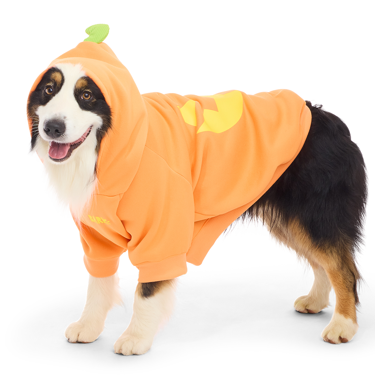 Jack O'Lantern Dog Hoodie