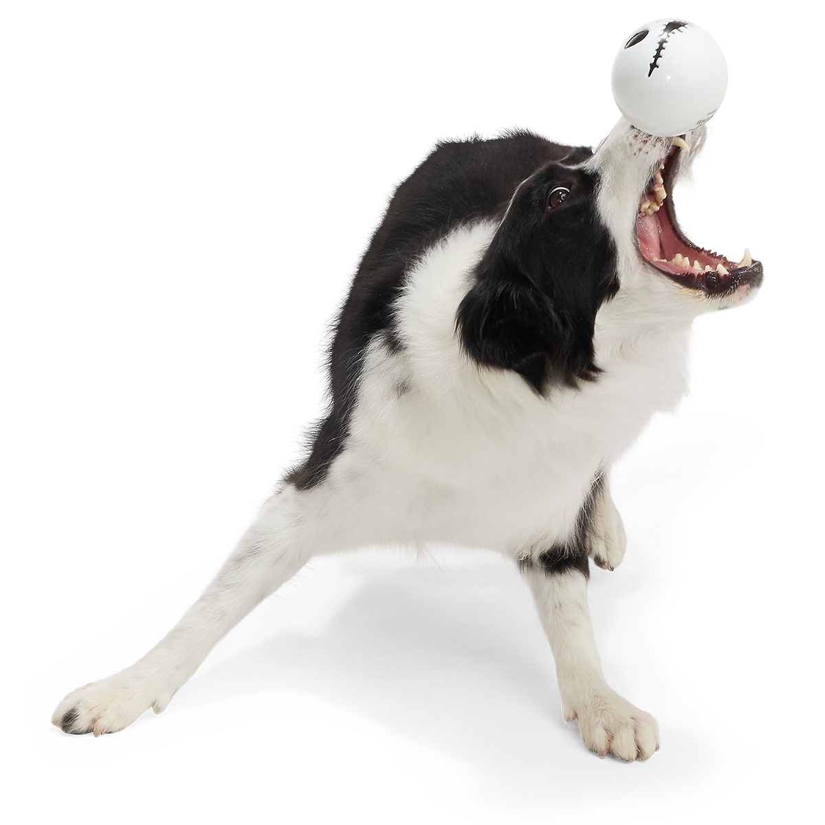 Jack Skullington Super Chewer Durable Fetch Dog Toy