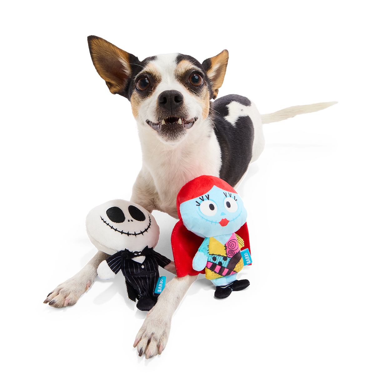 Jack & Sally Furever Plush Multi-Part + Tug Dog Toy