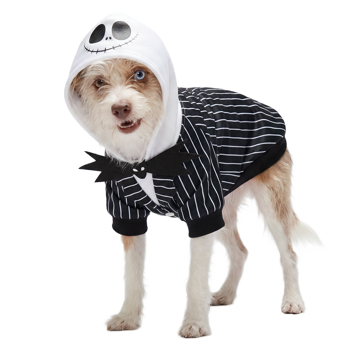Jack Skellington's Pinstripe Suit Dog Hoodie