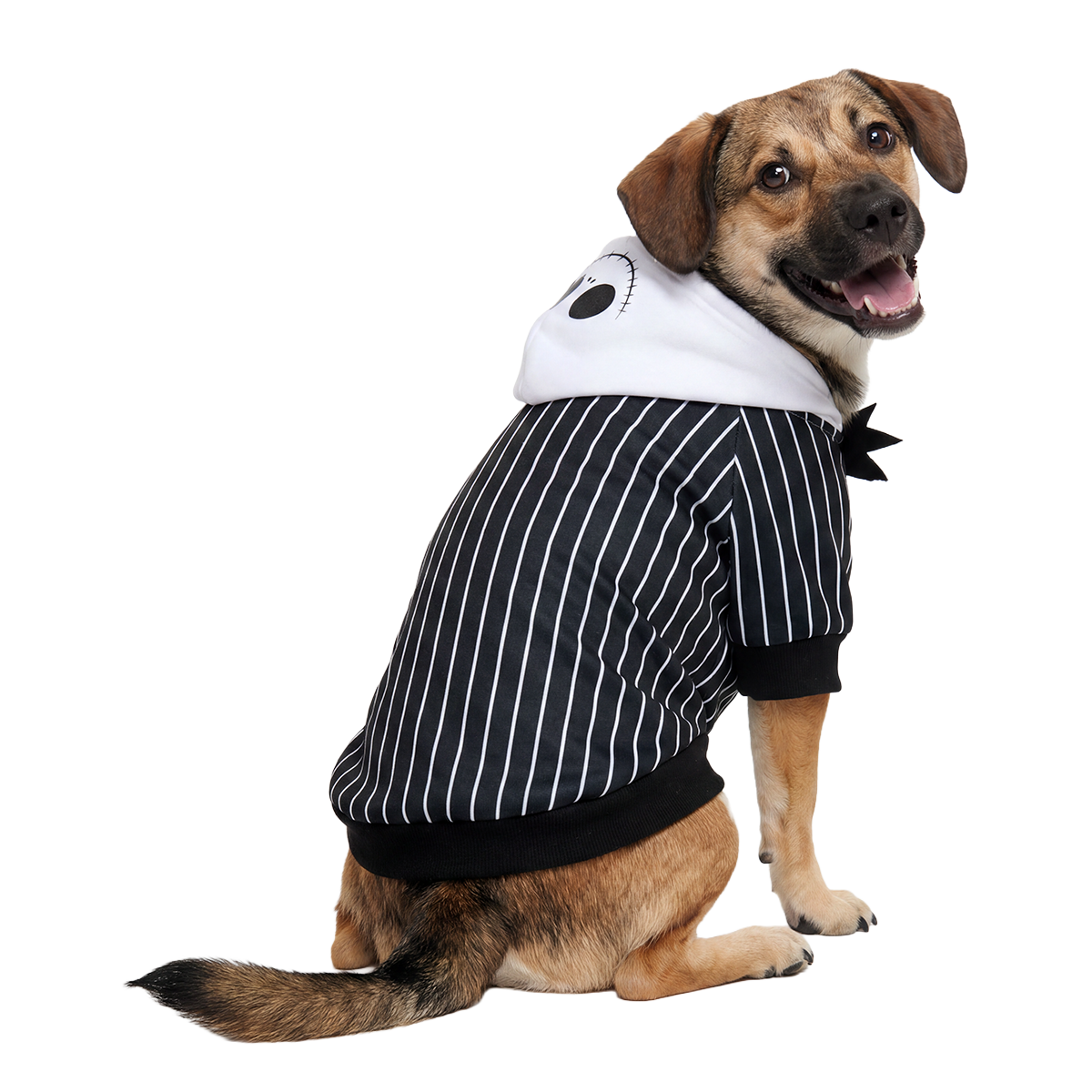 Jack Skellington's Pinstripe Suit Dog Hoodie