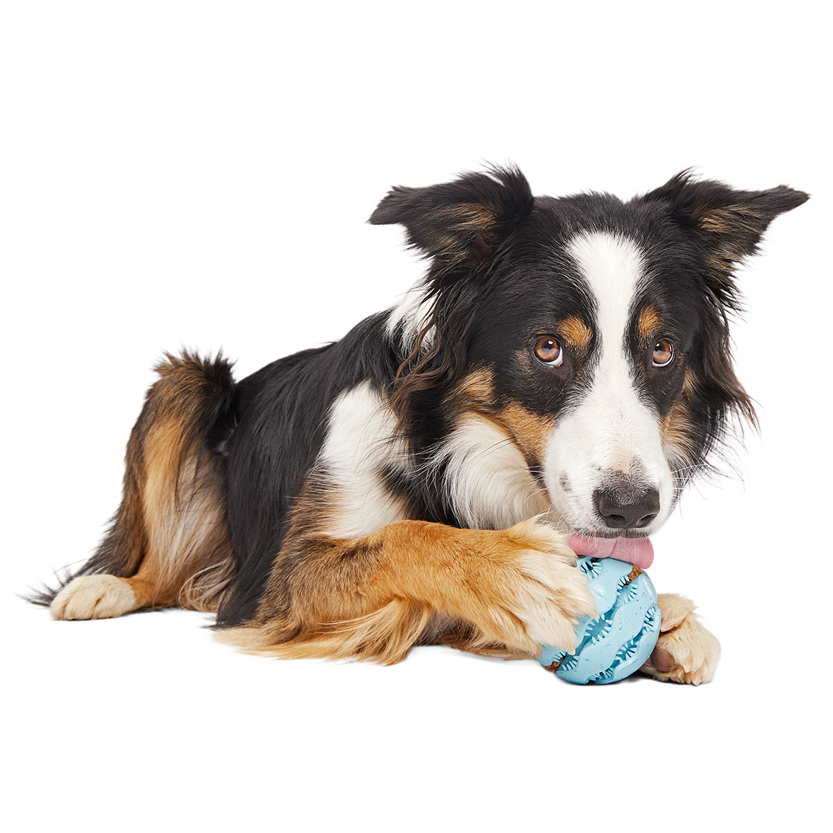 Jawball Super Chewer Durable Fetch + Enrichment Dog Toy