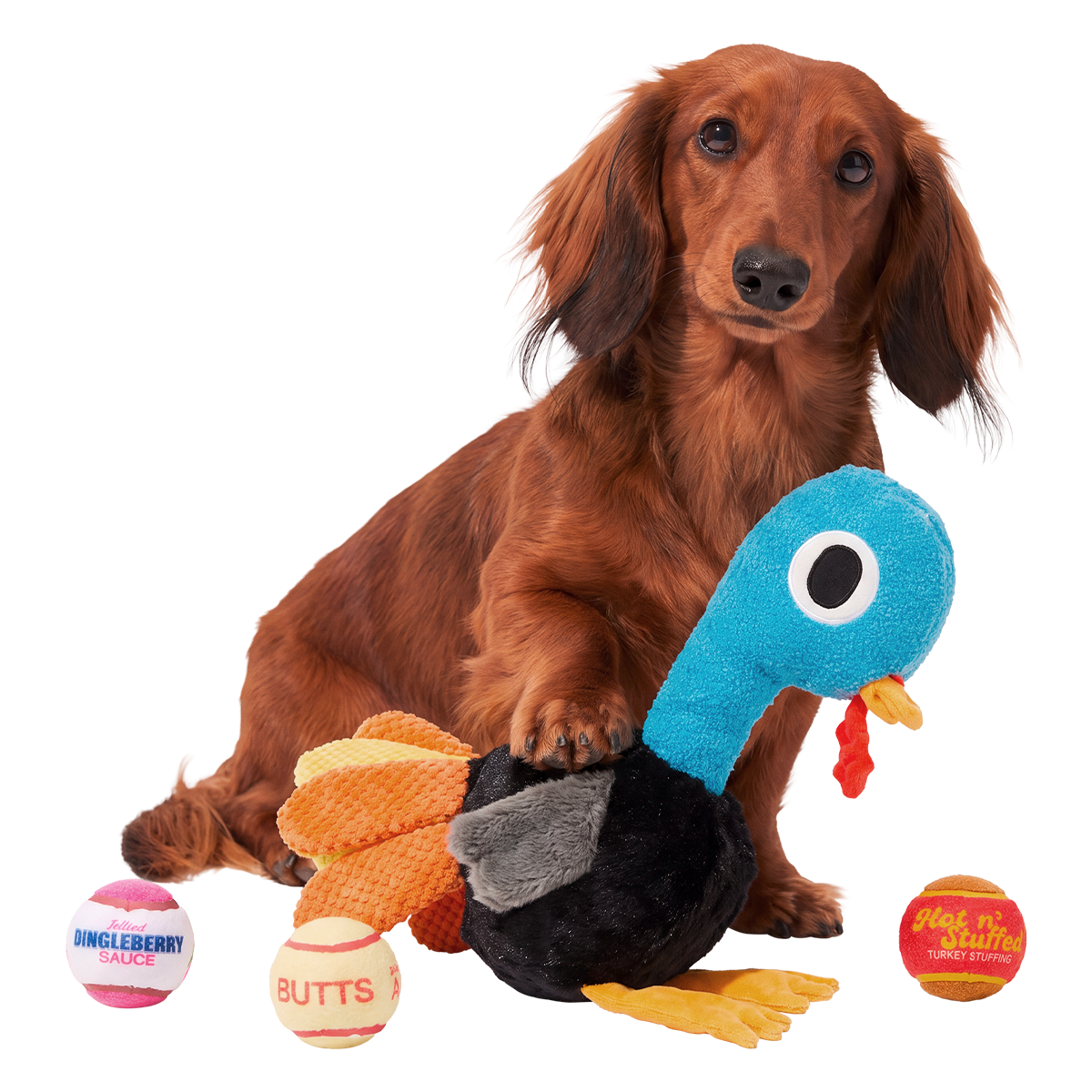 Jerky Turkey Plush XXL Multi-Part + Fetch + Enrichment Dog Toy