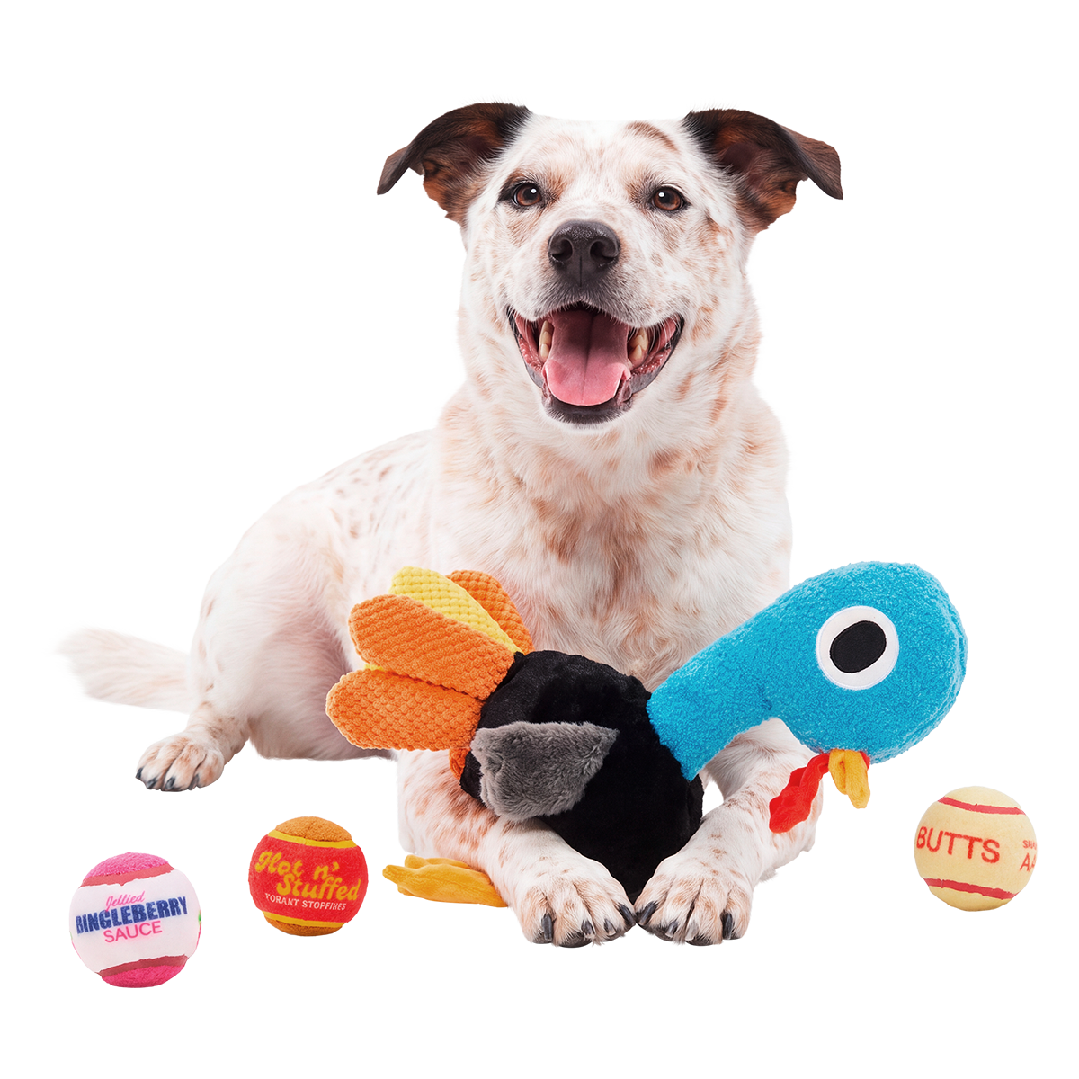 Jerky Turkey Plush XXL Multi-Part + Fetch + Enrichment Dog Toy