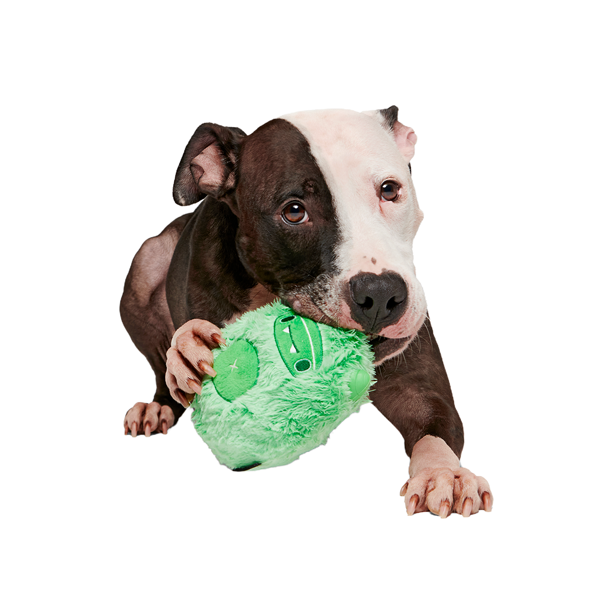 Jolly Green Ice Beast Super Chewer Durable 2-in-1 Dog Toy