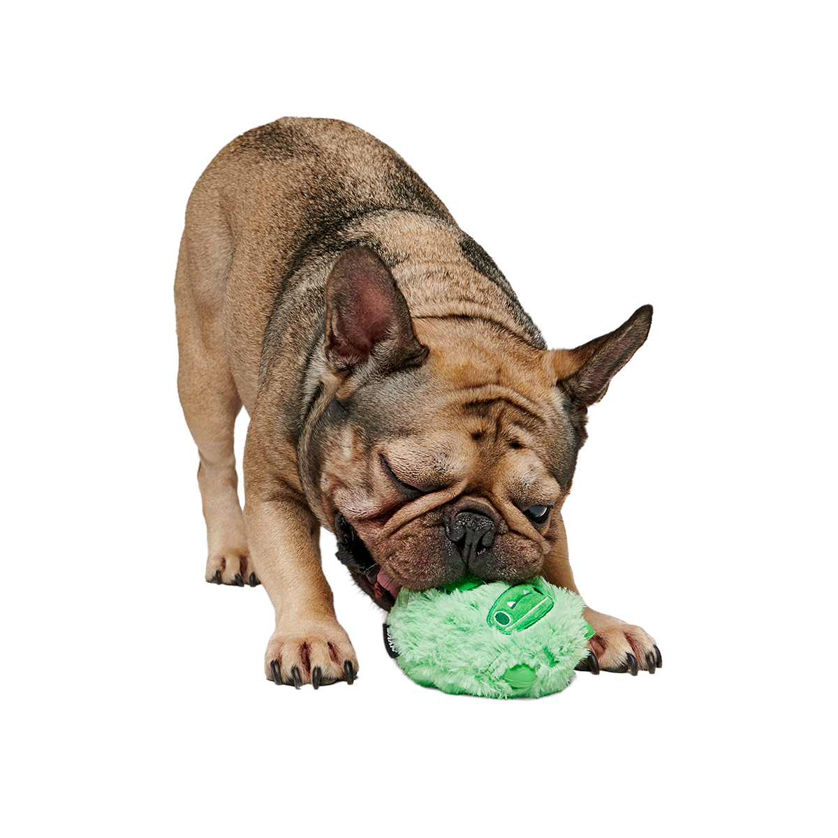 Jolly Green Ice Beast Super Chewer Durable 2-in-1 Dog Toy