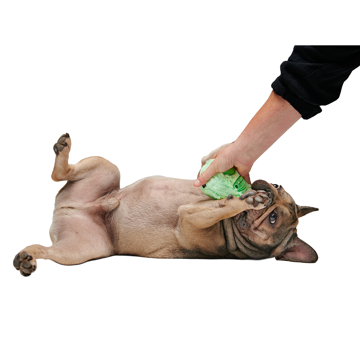 Jolly Green Ice Beast Super Chewer Durable 2-in-1 Dog Toy