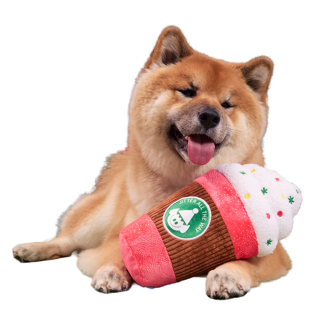 Jumbo Jingle Latte Dog Toy – BARK