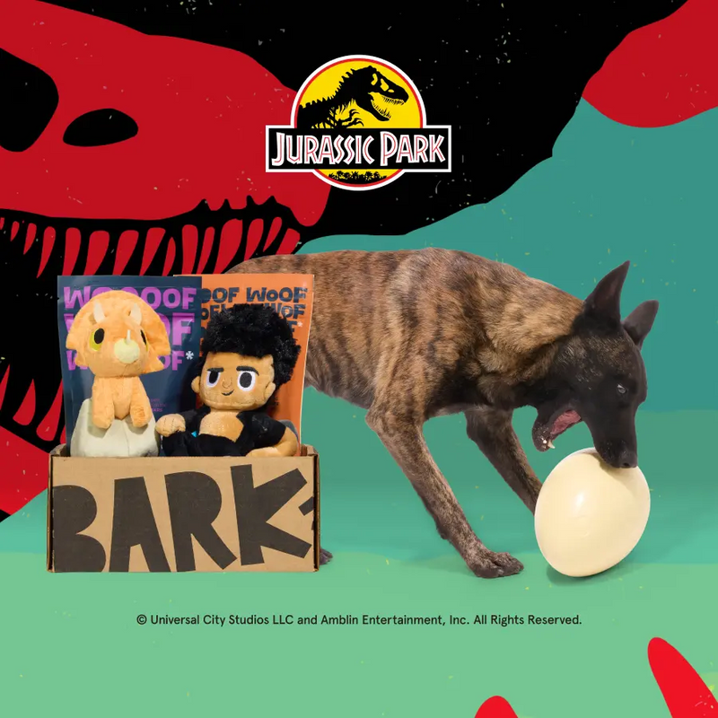 Dog Joy Delivered Every Month