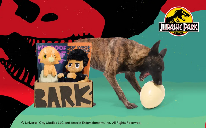 Dog Joy Delivered Every Month