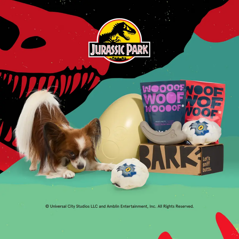 Tough Toys Delivered   Every Month