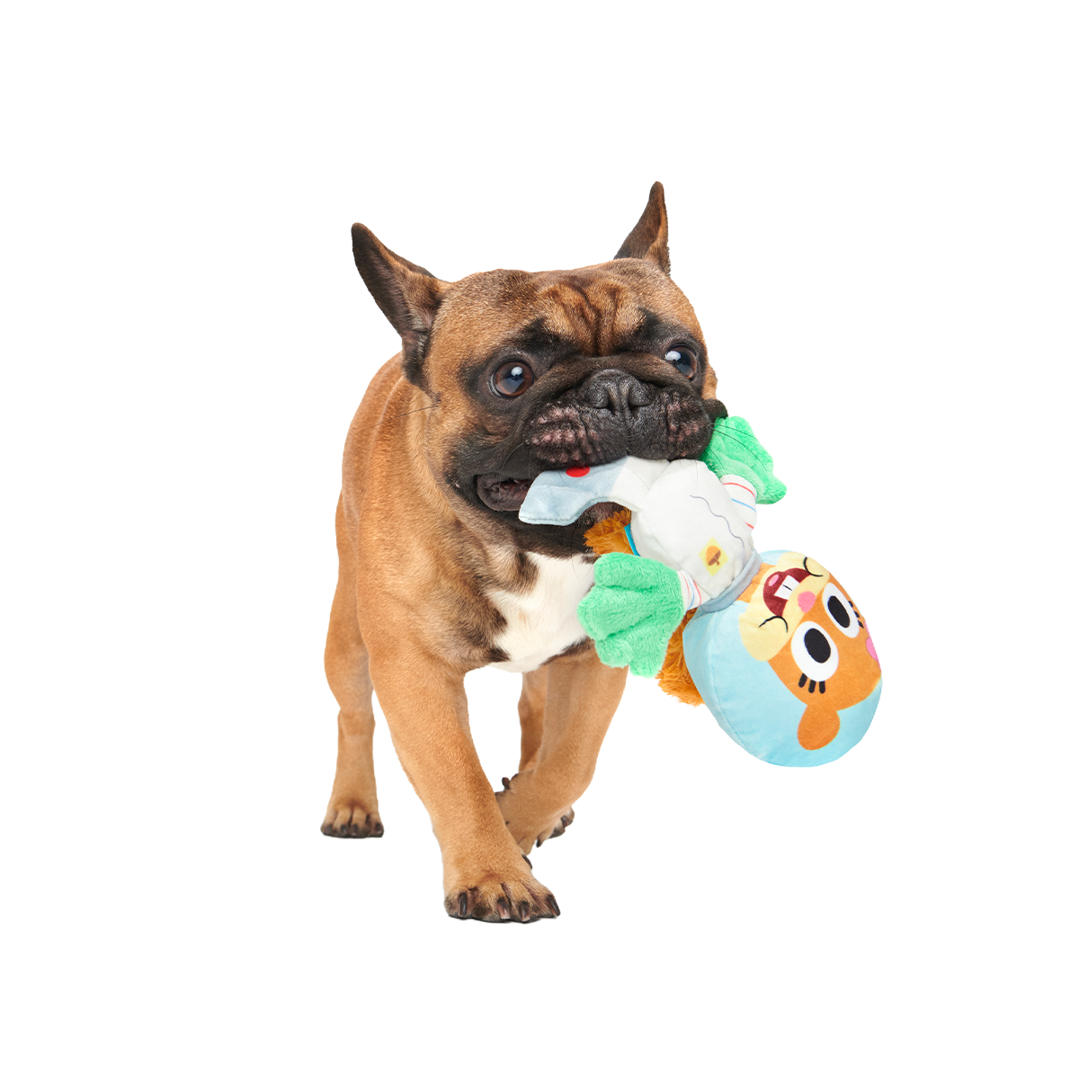 Kah-Rah-Tay Chomp Sandy Plush Tug Dog Toy