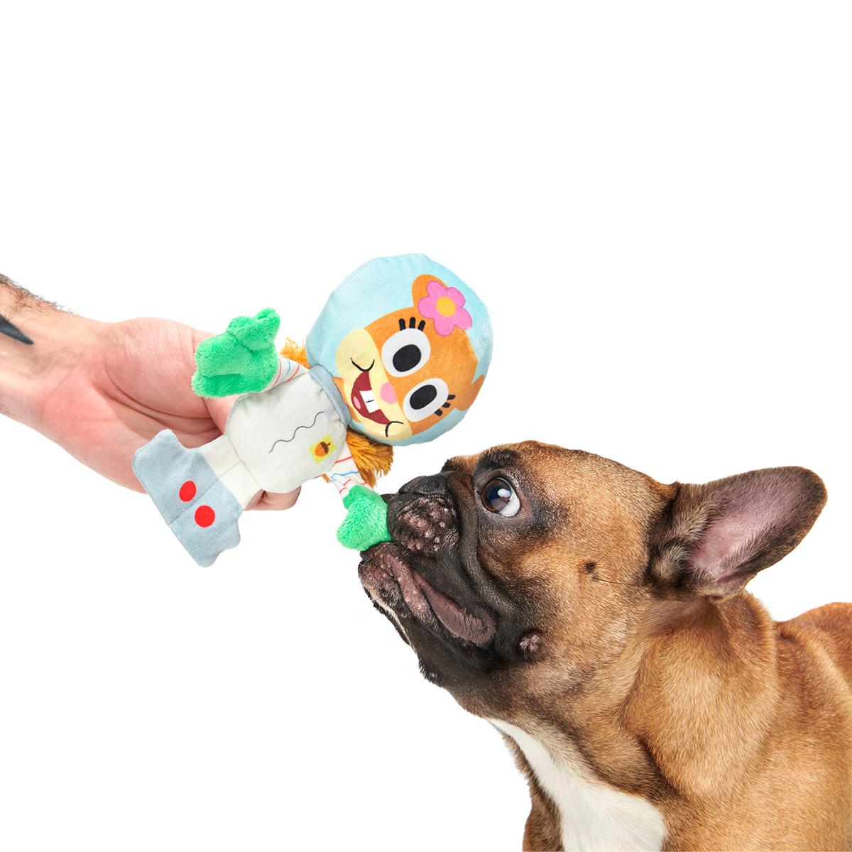 Kah-Rah-Tay Chomp Sandy Plush Tug Dog Toy