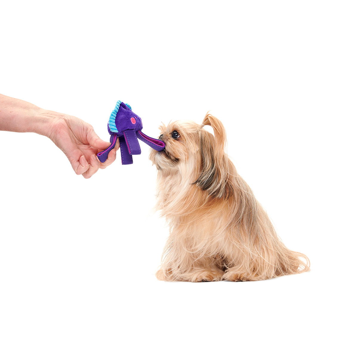 Karen Kraken Super Chewer Durable 2-in-1 + Tug Dog Toy