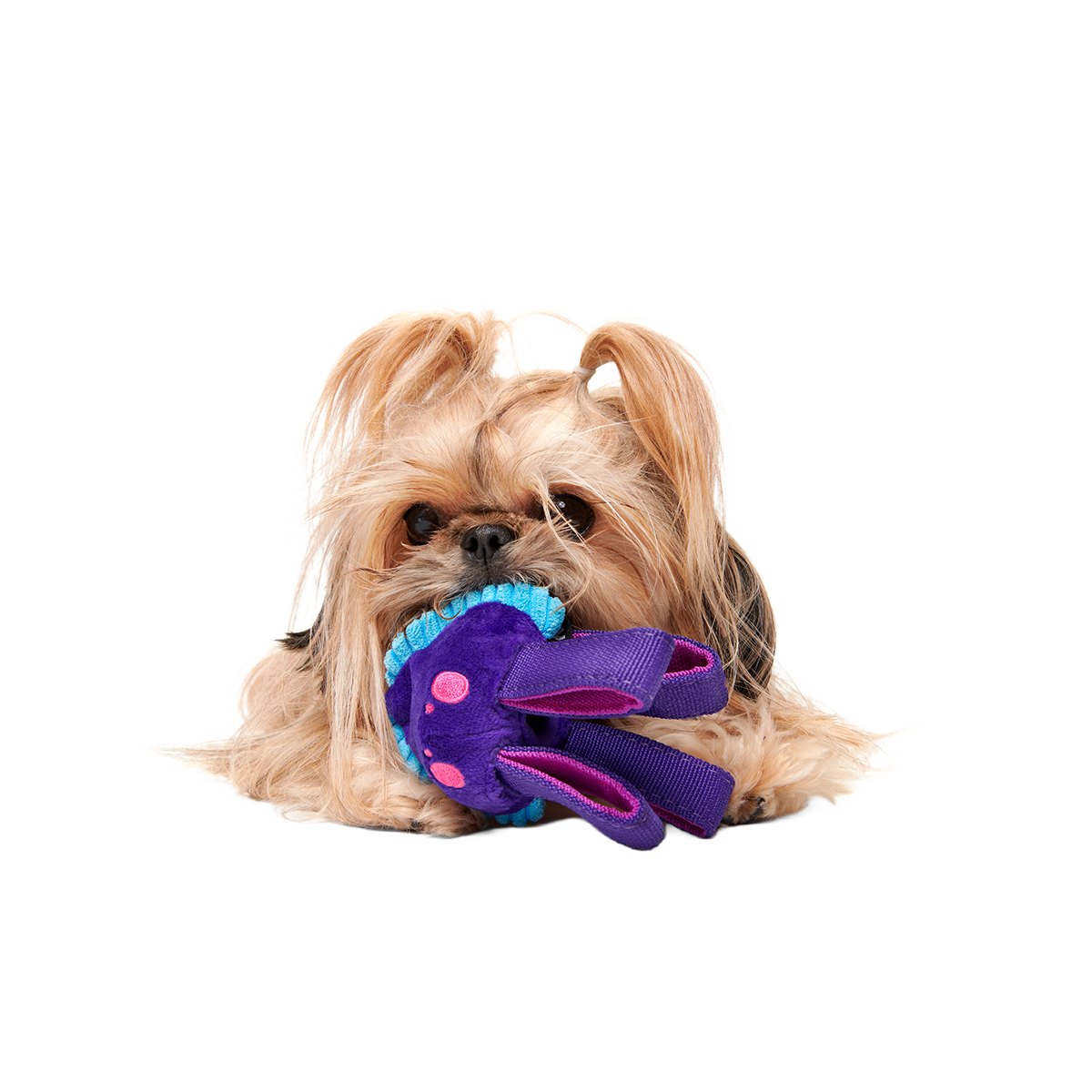 Karen Kraken Super Chewer Durable 2-in-1 + Tug Dog Toy