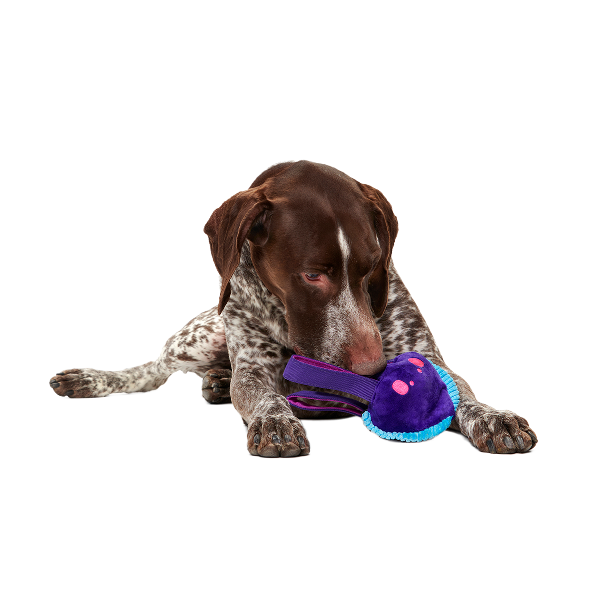 Karen Kraken Super Chewer Durable 2-in-1 + Tug Dog Toy