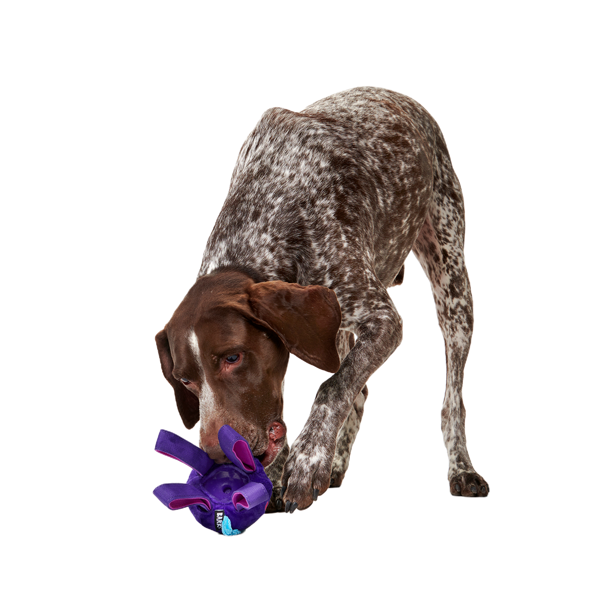 Karen Kraken Super Chewer Durable 2-in-1 + Tug Dog Toy