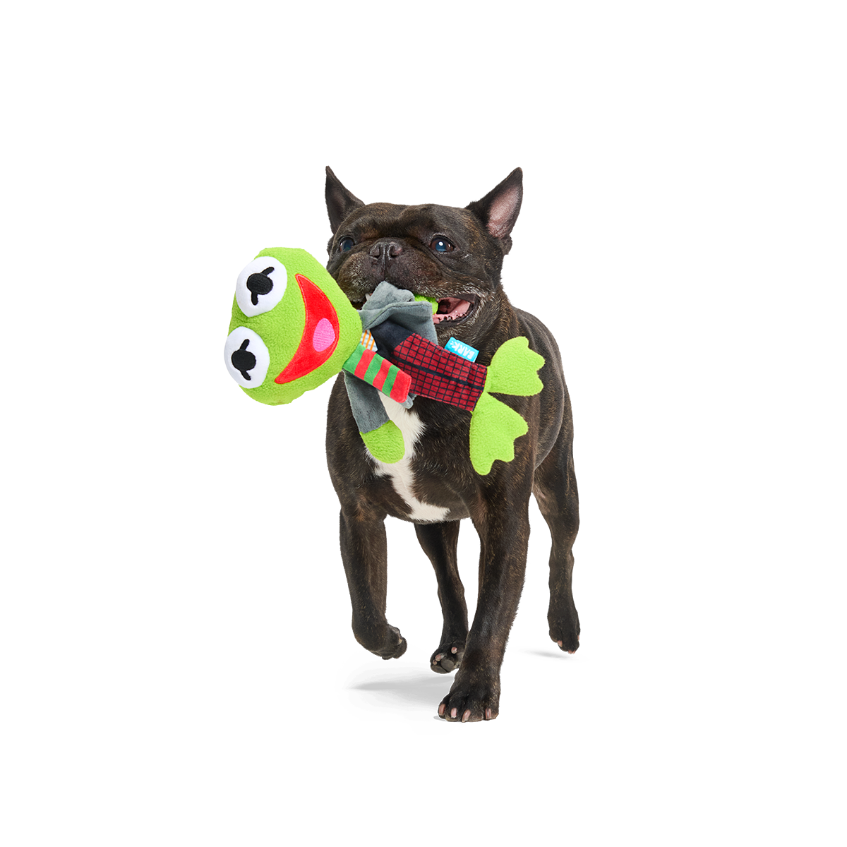 Kermit the Frog as “Bob Catch-It" Plush Tug Dog Toy