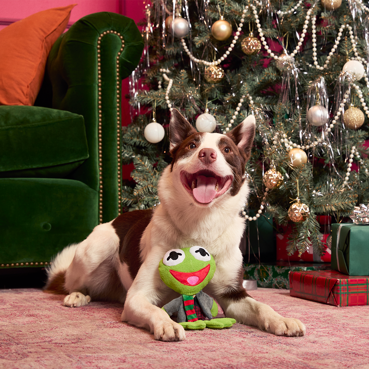 Kermit the Frog as “Bob Catch-It" Plush Tug Dog Toy