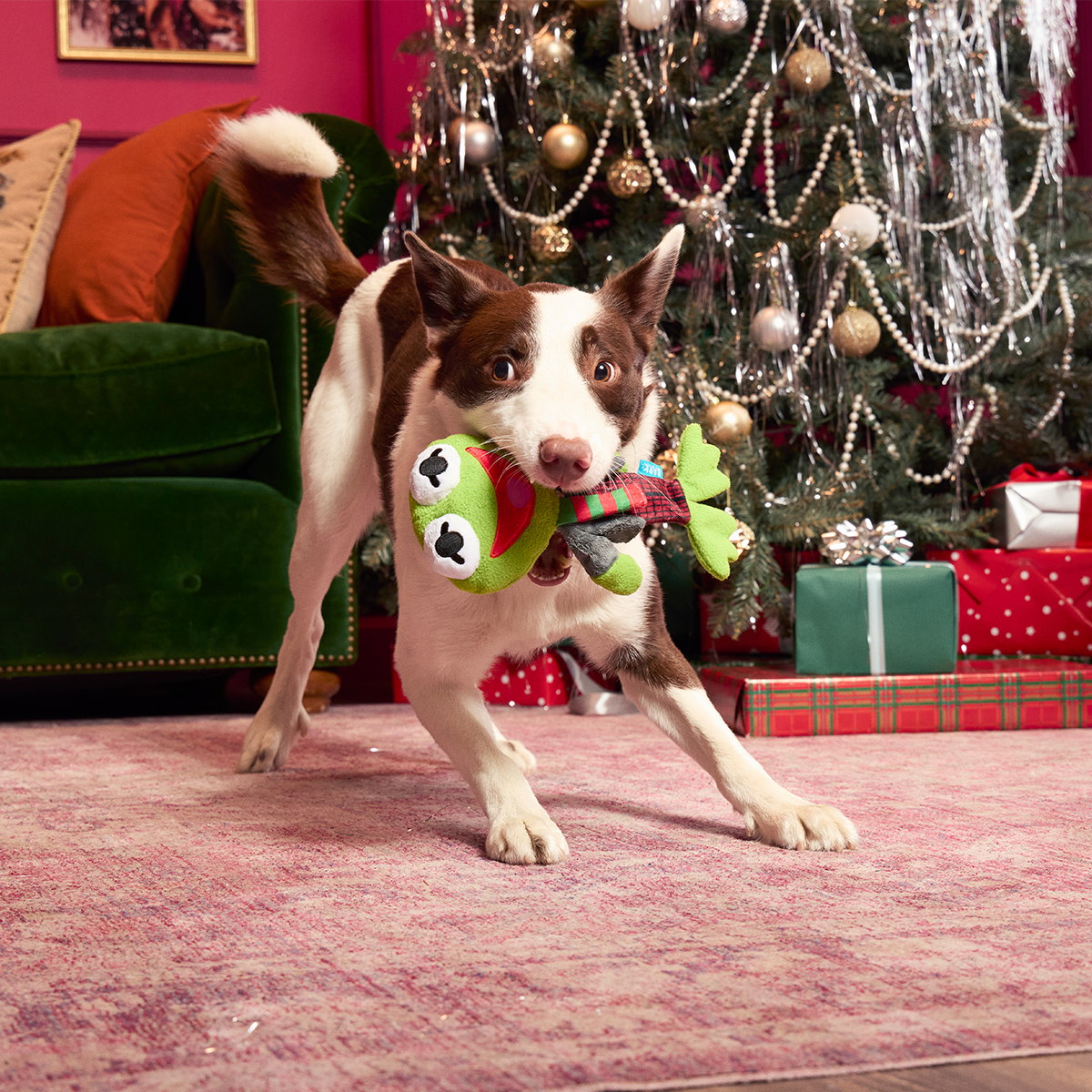 Kermit the Frog as “Bob Catch-It" Plush Tug Dog Toy