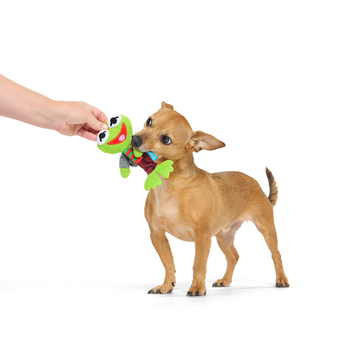 Kermit the Frog as “Bob Catch-It" Plush Tug Dog Toy