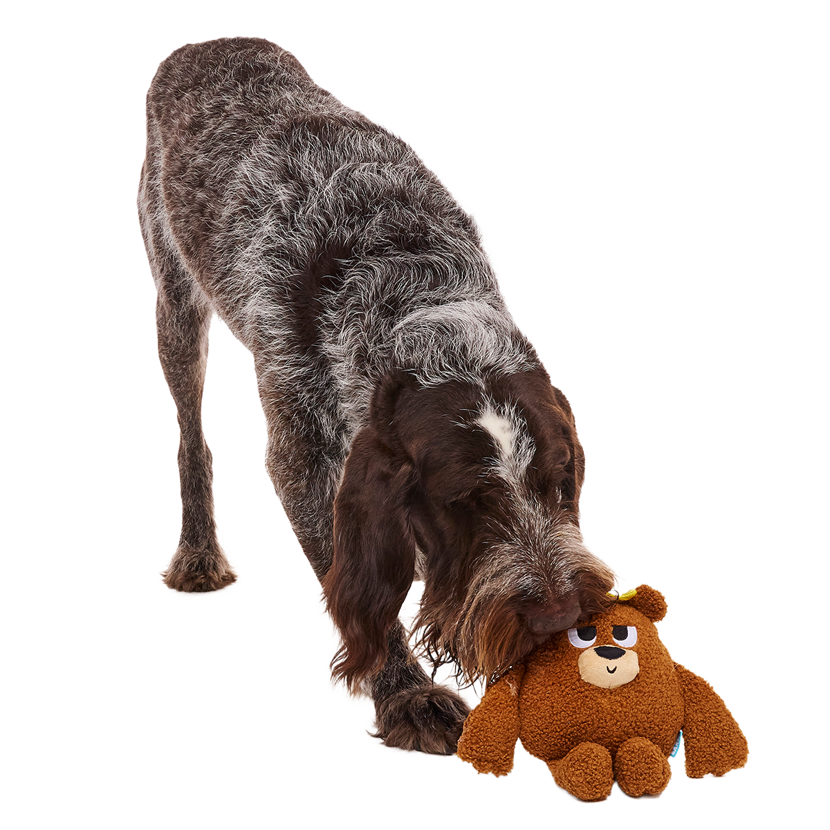 King Bearthur Plush Tug Dog Toy