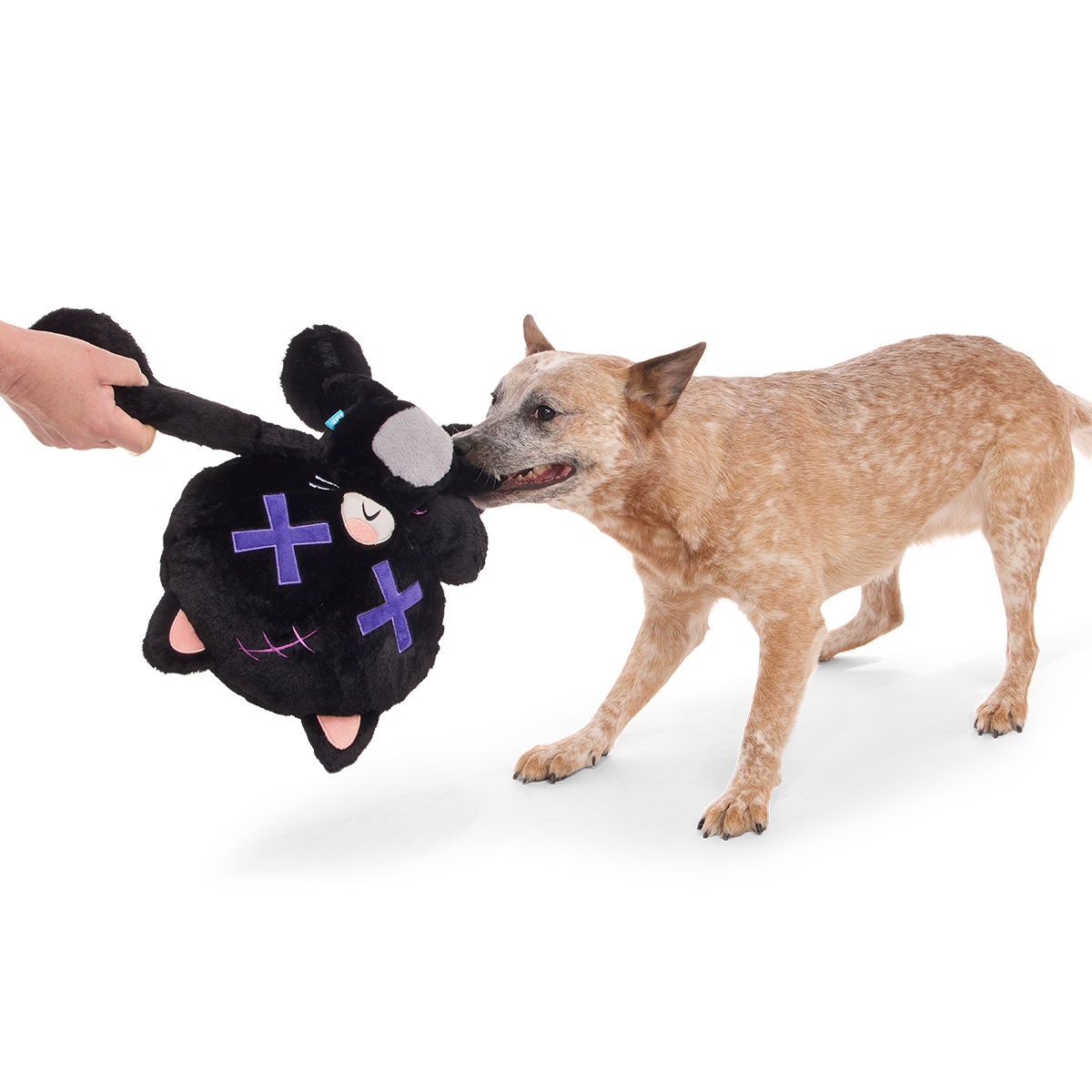 Kolossal Klaus Plush Extra-Large + Tug Dog Toy